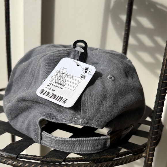 Gray Embroidered Cap - Picture 3 of 4